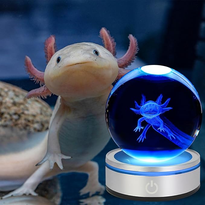 3D Axolotl Crystal Ball Night Light With LED Colorful Light Touch Base 3.15 In Glass Ball Lamp for Birthday Christmas, Cool Toy Gift for Boys Girls Kids Axolotl Figurines Home Decor