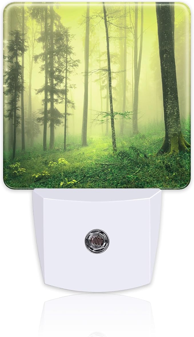 Misty Forest Night Light Plug into Wall, Magical Foggy Fairy Tale Forest Dusk to Dawn Night Light,0.5w Energy Saving Sleep Friendly Nightlights for Kids Boys Girls Home