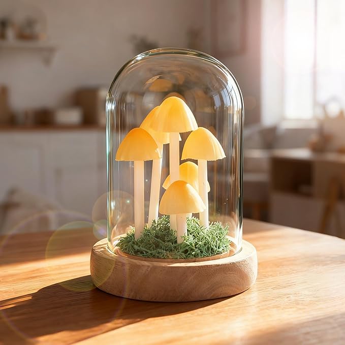 Decorative Mushroom Lamp with Glass Dome, Warm LED Night Light for Bedroom & Living Room, Unique Mushroom Gifts for Women, Christmas & Birthday Decor