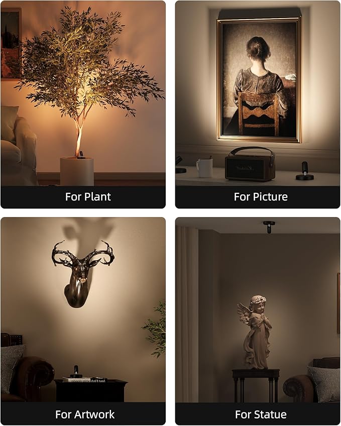 EZVALO Wireless LED Spotlights Indoor, 5500mAh Rechargeable Battery Powered Plants Spotlights Indoor, Dimmable & Timer, 3 CCT Small Up Lights with Remote, Accent Uplighting for Artwork,Tree(Black)