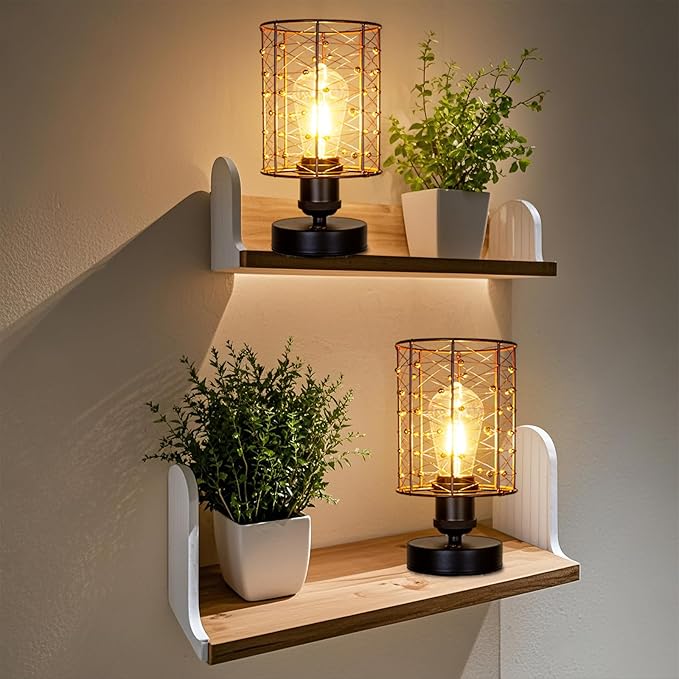 Cordless Rechargeable Outdoor Table Lamps, Battery Operated Table Lamp with Stepless Dimmable Table Lights, Outdoor Lamps for Patio, Living Room, Bedroom, Indoor- Set of 2