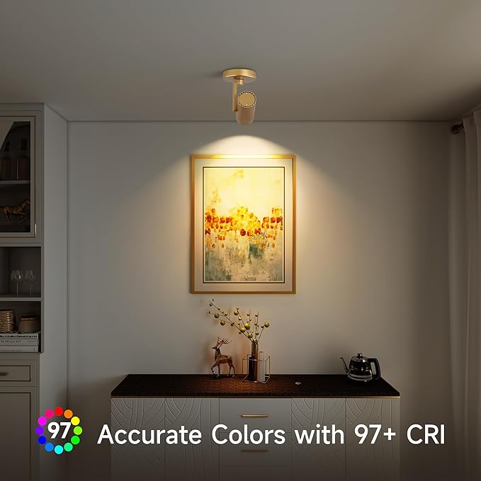 12W LED Gold Dimmable Zoomable Ceiling Spotlight Indoor – Adjustable Wall Surface Mount Accent Light for Home Corridor, Picture, Plants & Painting | Warm White 3000K CRI 97