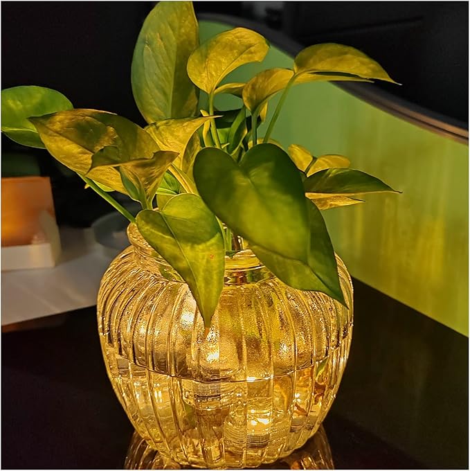 Bright LED Battery Operated Flameless Tea Light, Submersible Tea Candle Waterproof Decorations Underwater Vase Light for Party & Wedding, Pack of 12 (Warm)