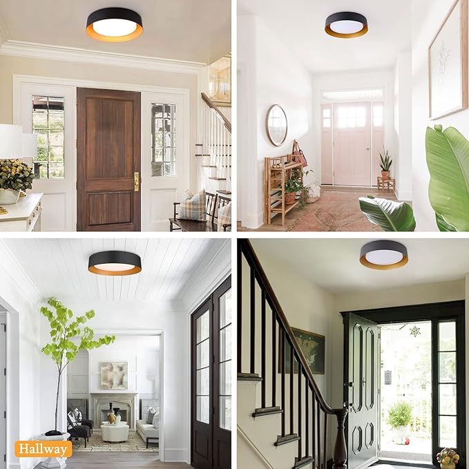 Bargeni 16.5 Inch LED Ceiling Light Fixture, Dimmable Flush Mount Matte Black With Gold Inside, 3000K/Warm White/30W, Modern Light Fixtures Mount for Bedroom, Outdoor, Foyer