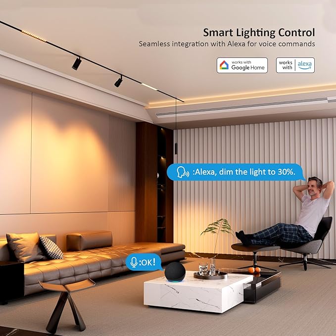 2 Pcs Magnetic Floodlight Track Head, 24V 15W LED Lamp for Track Light, Dimmable Linear Floodlight with APP & Remote Control, Adjustable 3000K-6000K Color Temperature, for Ceiling Lighting