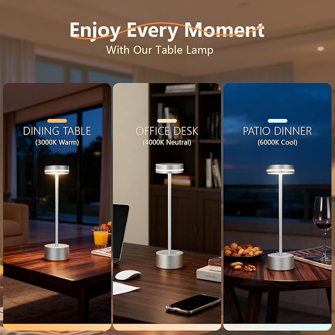 Cordl ess Table Lamp Rechargeable, Touch Desk Lamp with 5000mAh Battery, 3 Color Dimmable Light, Small Portable Aluminum Light for Outdoor/Patio/Dining/Tabletop/Bar, Home Decor (Silvery 2PK)