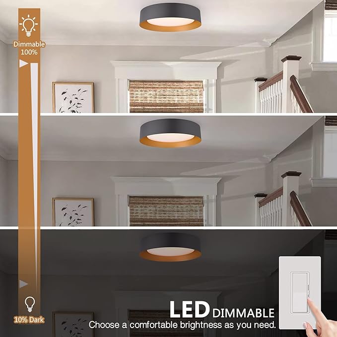 Bargeni 16.5 Inch LED Ceiling Light Fixture, Dimmable Flush Mount Matte Black With Gold Inside, 3000K/Warm White/30W, Modern Light Fixtures Mount for Bedroom, Outdoor, Foyer