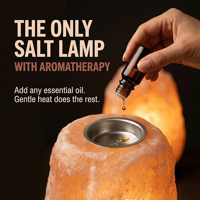 Himalayan Salt Lamp with Aromatherapy Tray & Dimmer Switch - Salt Rock Lamp for Bedroom, Relaxation & Sleep | Calming Meditation Spa Lamp | Himalayan Salt Diffuser | Warm Glow Night Light | Gift Ready