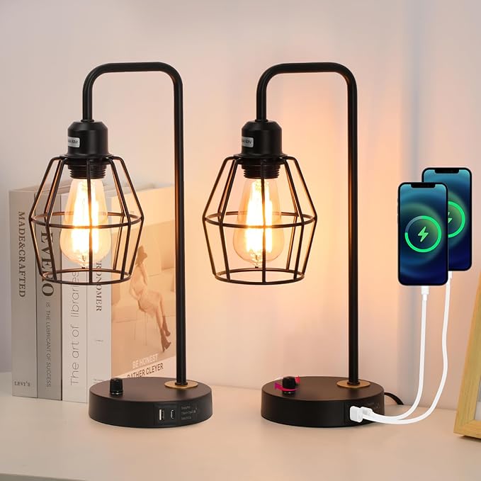 Industrial Dimmable Table Lamps Set of 2, Modern Black Bedside Lamp with USB A+C Outlet Charging Ports, Farmhouse Lamp with Metal Cage Shade for Bedroom, Office, Living Room, Bulb Included