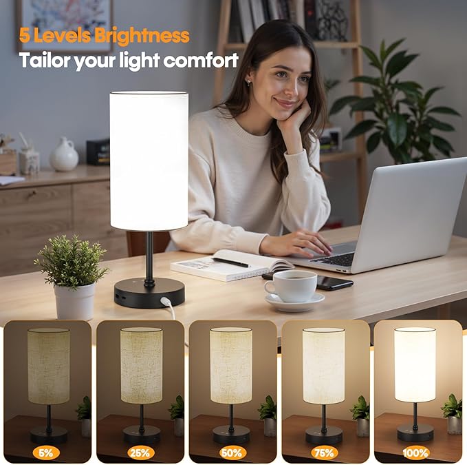 NIORSUN Light Therapy Lamp,10000 Lux Sun Lamp with Remote,3 Color Temperatures & Stepless Dimming,Happy Sunlight Lamp with USB C & A Ports,UV-Free Full Spectrum Light for Home, Office