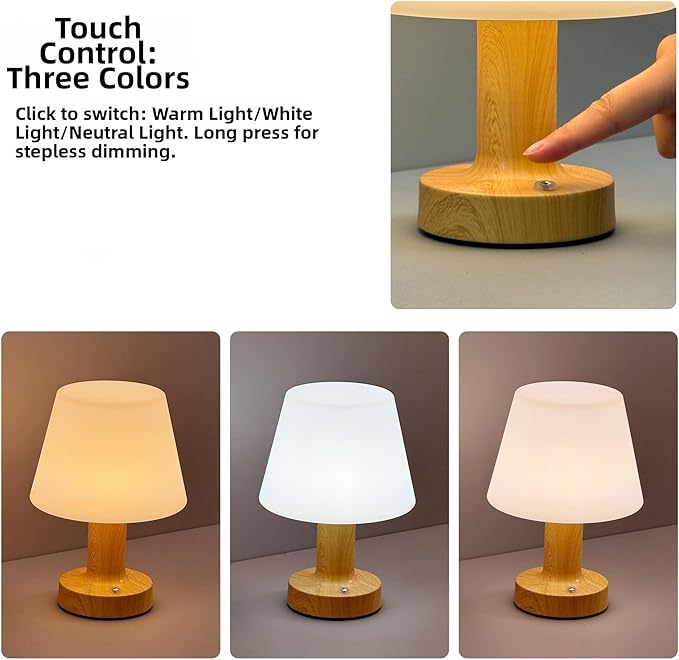 Shower Lamp Mushroom Lamp LED Table Lamp for Bedroom 3-Level Dimmable Rechargeable Desk Bedside Small Lamps Night Light for Bedroom, Living Room, Study and Home Offices Decor