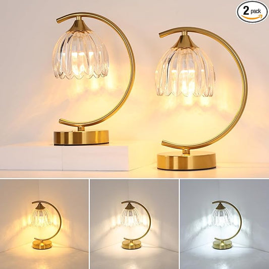 Set of 2 Tulip Table Lamp, 5200mAh Cordless Touch Control Table Lamp with 3 Color Temps & Stepless Dimming, Rechargeable Battery Table Lamp for Living Room, Bedroom, Shelf (Transparent Tulip)