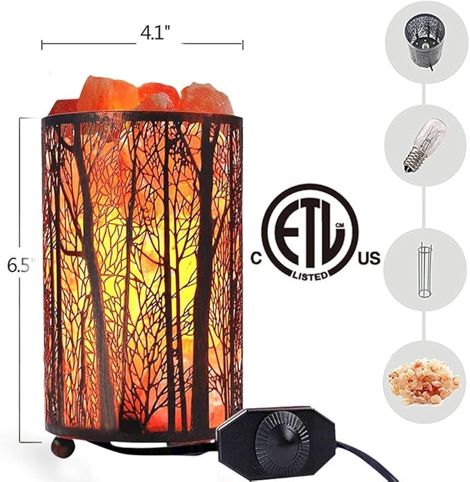 Shineled Salt Lamps, Natural Himalayan Salt Lamp, Forest Salt Lamp with Dimmer Switch, Salt Crystal Night Lights, Retro Metal Basket Decor Desk Lamp with Extra 25W Lamp Bulbs (Retro Red)