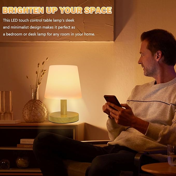 Wood Rechargeable Table Lamp Cordless, 9" Small 4000mAh Battery Table Lamps Cordless 3 Brightness Lamp, Small Cute Portable Bedside Aesthetic Lamps, Night Lights for Kids Bedroom Home Cozy Decor