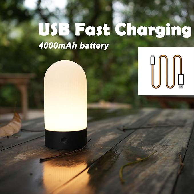 Battery Operated Shower Lamp Waterproof, Small Portable Cordless Table Lamp Rechargeable, Touch Dimmable Mood Light for Home/Patio/Dining/Outdoor (White)
