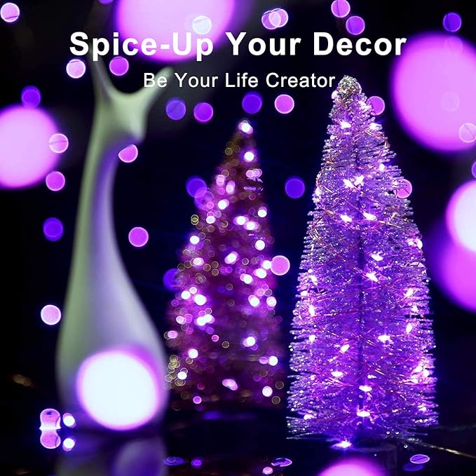 Blingstar USB Powered Fairy Lights, 2 Pack 33Ft 100 LED, Flexible Silver Wire, Mini String Lights for Christmas Tree/Halloween/Bedroom/Camping/Holiday Decoration, Purple