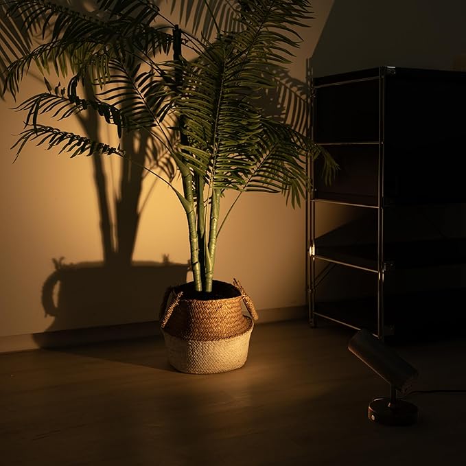 Aisilan Plug in Spotlight Fixtures with On/Off Switch, 7W Replaceable GU10 Bulb Adjustable Spotlight Indoor, Warm White 3000K Wall Sconce for Living Room Bedroom Plant Picture Accent Lighting (Black)