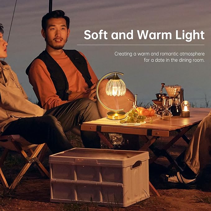 Set of 2 Tulip Table Lamp, 5200mAh Cordless Touch Control Table Lamp with 3 Color Temps & Stepless Dimming, Rechargeable Battery Table Lamp for Living Room, Bedroom, Shelf (Transparent Tulip)