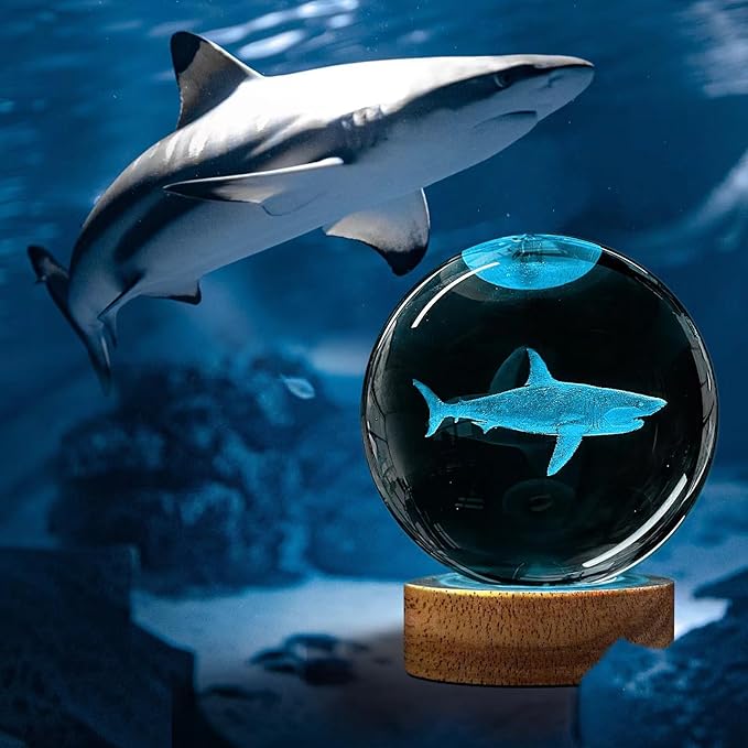 3D Shark Crystal Ball Night Light with Remote Upgraded 3.15 in Shark Glass Ball Table Lamps with 16 Color Led Wooden Base for Birthday Xmas Cool Shark Figurines Room Decor Gifts for Kids Teen