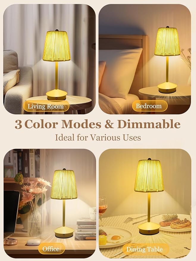 Boho Rattan Table Lamp, Cordless Wicker Woven Vintage Table Lamp - LED Rechargeable Touch Control 3 Color Dimmable Reading Bedside Lamp for Bedroom Living Room Office, Home Outdoor Decor (White-3)