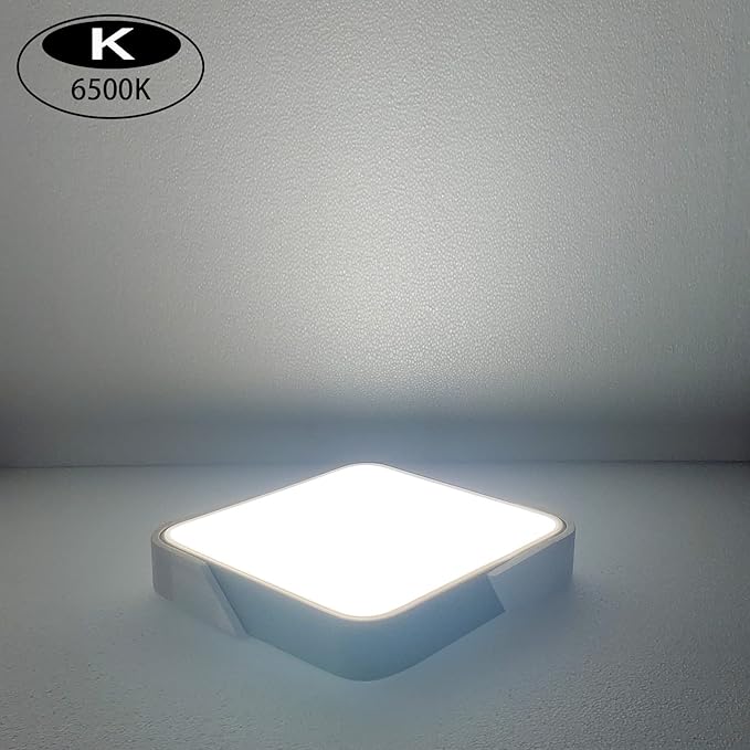 Modern Flush Mount Led Ceiling Light, 24W Black, 11.8 Inch, Cool White, 6500K for Bedroom, Kitchen, Living Room, Hallway