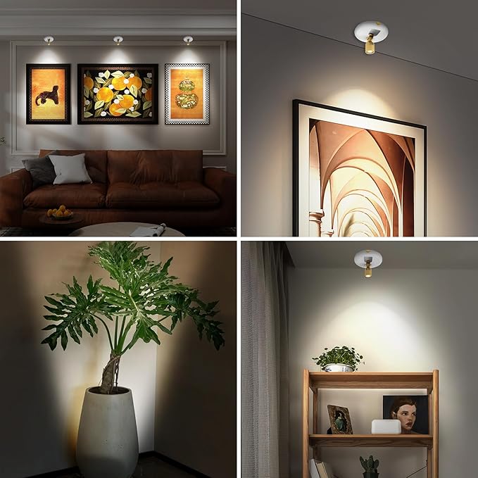 Led Spotlight Battery Powered,Wireless Picture Lighting for Painting Art Display on Wall with Remote, Indoor Uplight for Tree Plants, Dimmable Puck Accent Light for Painting Frame Portrait Gallery