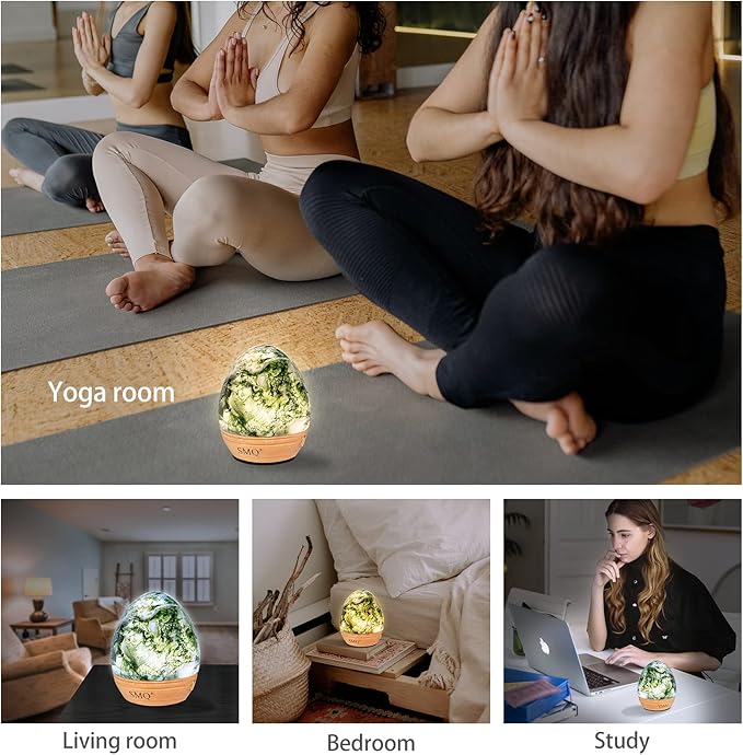 SMQ Moss Agate Crystal Night Light with Rechargeable 2 Colors Touch Control Table Lamp with Wooden Base for Kids Adult Living Room Bedroom(Egg-Shape)