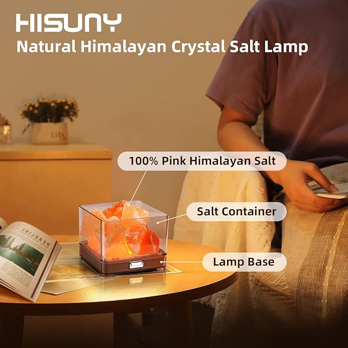 Touch Himalayan Salt Lamp with Smart Heating Essential Oil System, 6-Way Dimmable Mini USB LED Pink Natural Salt Rock Night Lamp for Home Decor Zen Gifts Salt Therapy Yoga Spa Meditation