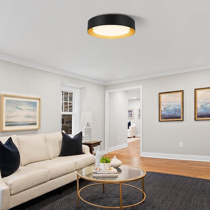 Modern Flush Mount Ceiling Lights,Minimalist 16.5IN Round Close to Ceiling Light Fixtures,Black and Gold Metal Ceiling Lighting Lamp for Living Room,Dining Room,Bedroom,Kitchen