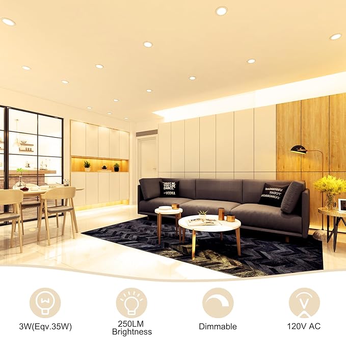 YGS-Tech 2 Inch LED Recessed Lighting, Dimmable Downlight 3W(35W Halogen Equivalent), CRI80, 2700K Ultra Warm White Ceiling Light with LED Driver (24 Pack)