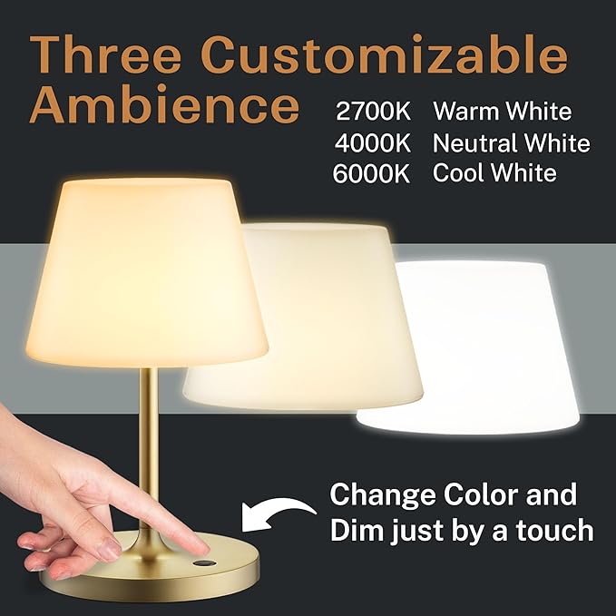 Cordless Lamp, 5000mAh Battery Operated Rechargeable Table Lamp with Power Bank, Touch Dimmable 3 Color Temperatures, IP44 Waterproof Shower Lamp for Kitchen, Bathroom, Indoor Or Outdoor Use 9.6in