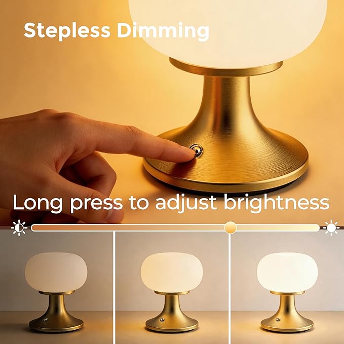 Cordless Table Lamp, LED Mushroom Lamp with Glass Shade & Stepless Dimming, Touch Control Nightstand Lamp for Bedroom,Living Room,Dining Table
