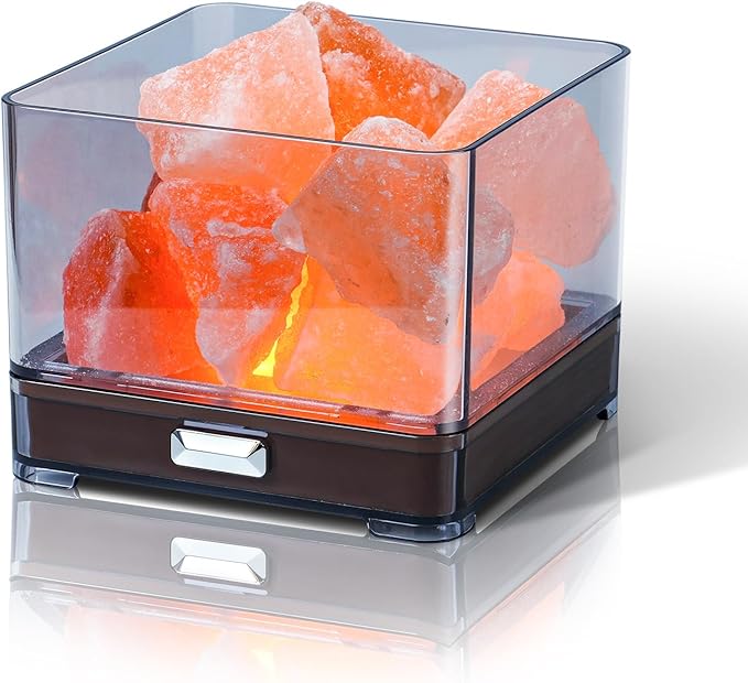 Touch Himalayan Salt Lamp with Smart Heating Essential Oil System, 6-Way Dimmable Mini USB LED Pink Natural Salt Rock Night Lamp for Home Decor Zen Gifts Salt Therapy Yoga Spa Meditation