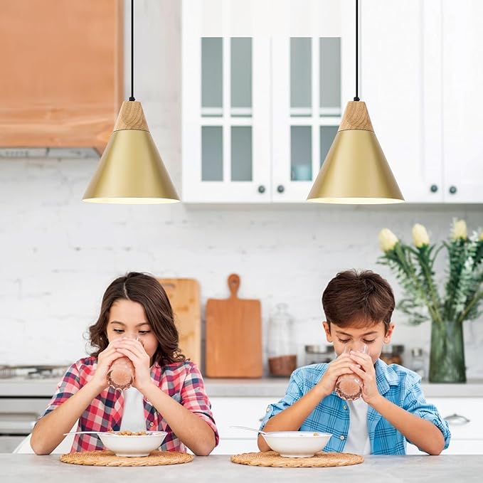 Farmhouse Pendant Light 2 Packs,9.4inches- Gold Pendant Lighting, Industrial Pendant Light, Kitchen Pendant Lights for Office, Bedroom, Living Room, Kitchen Island