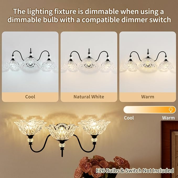 Black Bathroom Vanity Light,3-Light Vanity Light with Crystal Glass Shades,Vintage Farmhouse Vanity Lighting for Bathroom and Dressing Table