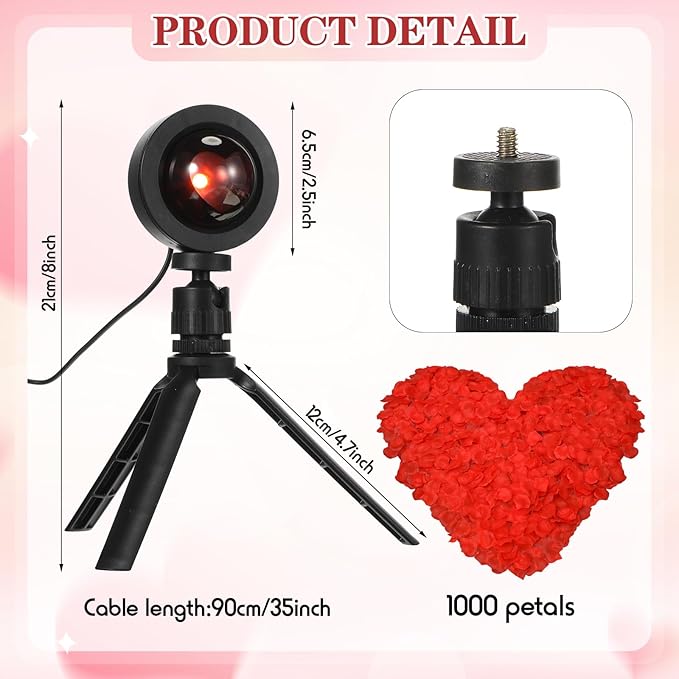 Heart Shaped Projection Lamp with 1000 Rose Petals Valentine's Day Sign Novelty Indoor Lamps USB Powered Romantic Night Light for Him Room Decorations Marry Me Proposal Weddings (Red)