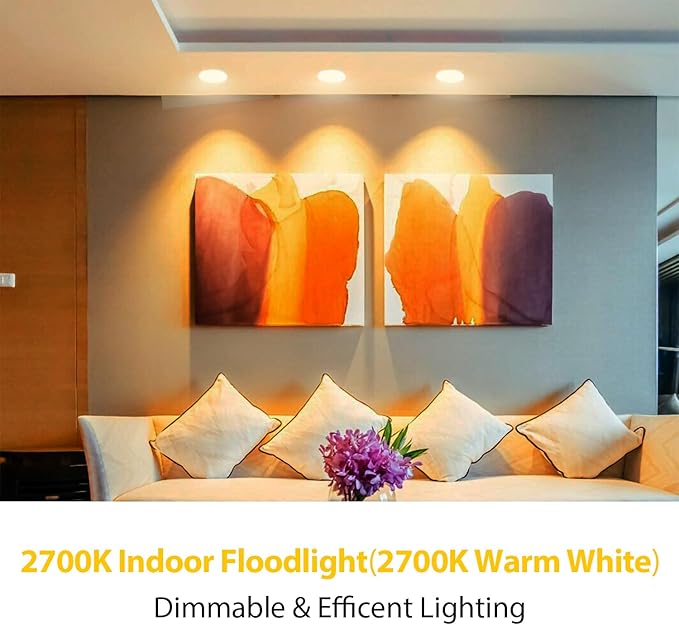 dalattin 24 Pack BR30 LED Bulbs 65W Equivalent, Dimmable Indoor Flood Lights 2700K Soft White, 9W, 800 Lumens, E26 Base, LED Recessed Light Bulb for Living Room, Bedroom, Bathroom, Kitchen