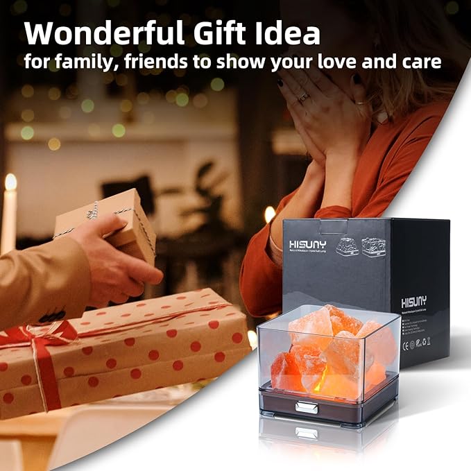 Touch Himalayan Salt Lamp with Smart Heating Essential Oil System, 6-Way Dimmable Mini USB LED Pink Natural Salt Rock Night Lamp for Home Decor Zen Gifts Salt Therapy Yoga Spa Meditation