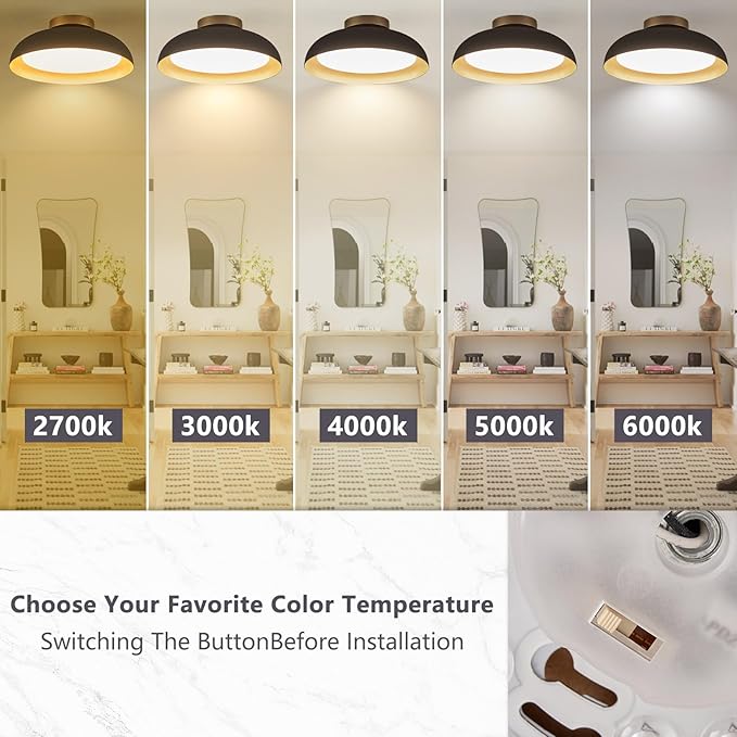 Bargeni Flush Mount Ceiling Light,12.5 inch Ceiling Lighting Fixture,Mid Century Light Fixtures Ceiling Mount,5CCT Dimmable/2700K-6000K/20W,Kitchen Lighting Fixtures Ceiling,ETL Certified