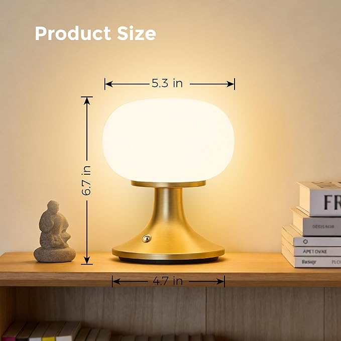 Cordless Table Lamp, LED Mushroom Lamp with Glass Shade & Stepless Dimming, Touch Control Nightstand Lamp for Bedroom,Living Room,Dining Table