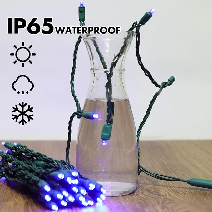 LAMPHOME 50LED String Lights,LED Christmas Lights,6" SPACING,Green Wire,Blue Colour,Commercial Grade