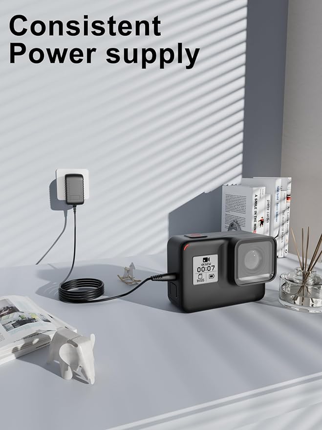 24V AC Adapter Charger Compatible with Govee H6078 RGBIC Floor Lamp LED Wi-Fi App Control Smart lamp Power Supply Cord Mains PSU