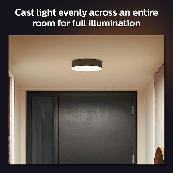 Enrave L Hue Ceiling lamp Black NAM