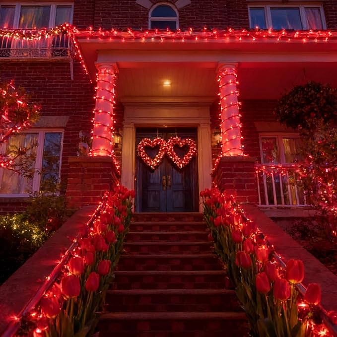 LAMPHOME 21.6ft 100 LED Red Valentine Lights, Connectable Valentine Room Light Indoor Plug-in, White Wire Red Christmas String Light Outdoor Waterproof for Valentines Day Bedroom, Party
