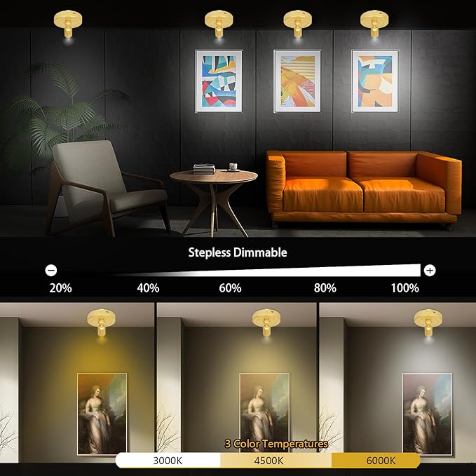 LED Spotlight Indoor,Rechargeable Battery Uplighting Indoor with Timer,3CCT Dimmable Accent Spot Lights for Plants Tree Wall Art Display Painting Artwork Portrait Dartboard Gallery-Gold