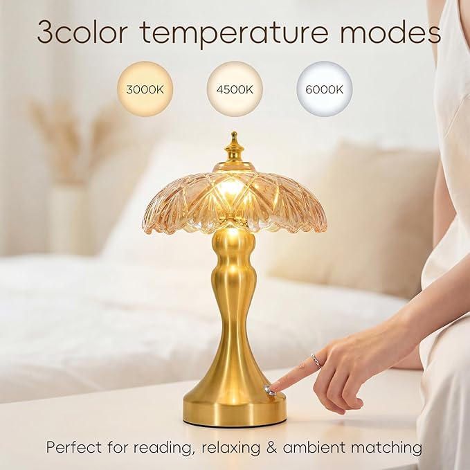 Cordless LED Table Lamp with Glass Shade, 3-Level Brightness & 3 Color Temperatures Touch Control, Rechargeable Portable Bedside Lamp for Nightstand Bedroom Living Room (Amber)