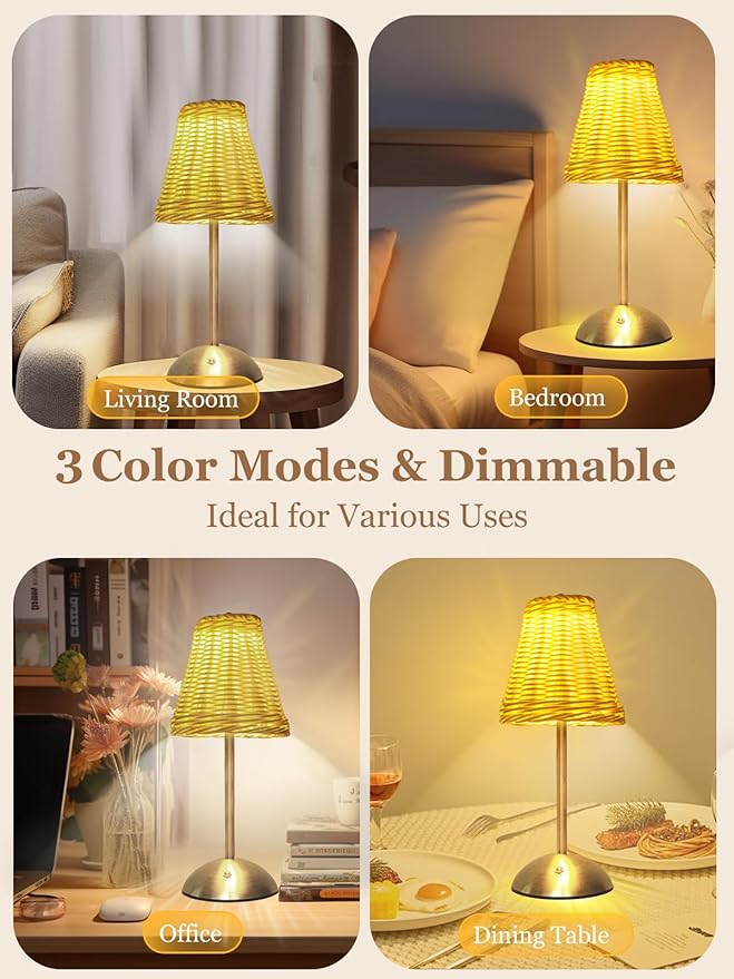 Boho Rattan Table Lamp, Cordless Wicker Woven Vintage Table Lamp - LED Rechargeable Touch Control 3 Color Dimmable Reading Bedside Lamp for Bedroom Living Room Office, Home Outdoor Decor (White-2)