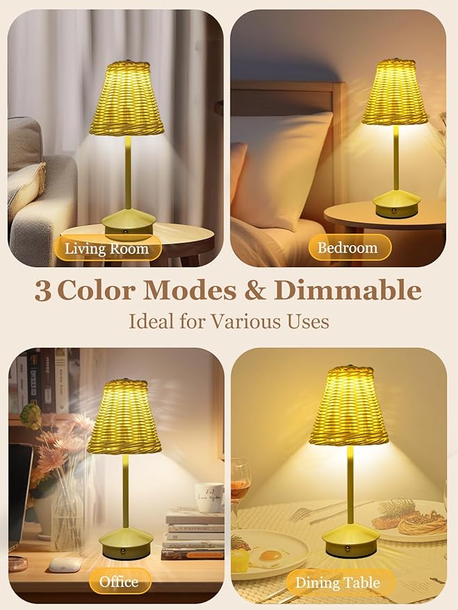 Boho Rattan Table Lamp, Cordless Wicker Woven Vintage Table Lamp - LED Rechargeable Touch Control 3 Color Dimmable Reading Bedside Lamp for Bedroom Living Room Office, Home Outdoor Decor (White-4)