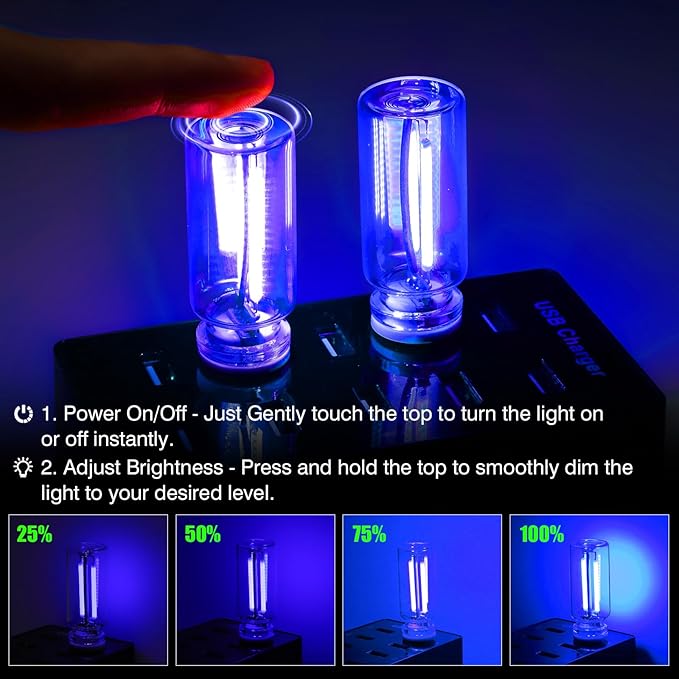 2PCS USB Car Light, Plug in USB Interior Car Lights, Touch Control Mini Glass Bottle Automotive Night Lamps, Portable Mini LED Bulb Night Lights Ambient Lighting for Auto Vehicle Decoration, Blue