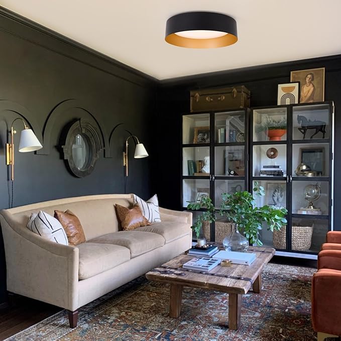 Bargeni Flush Mount Ceiling Lights,12.5 inch Ceiling Light Fixture,3000K/18W, Matte Black with Champagne Gold Inside Finish,Flush Mount Light Fixture for Balcony,Outdoor,Kitchen,ETL Listed-2 Pack